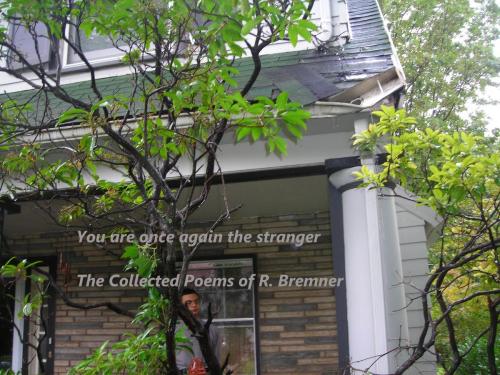 Cover of the book You Are Once Again The Stranger by R Bremner, R Bremner