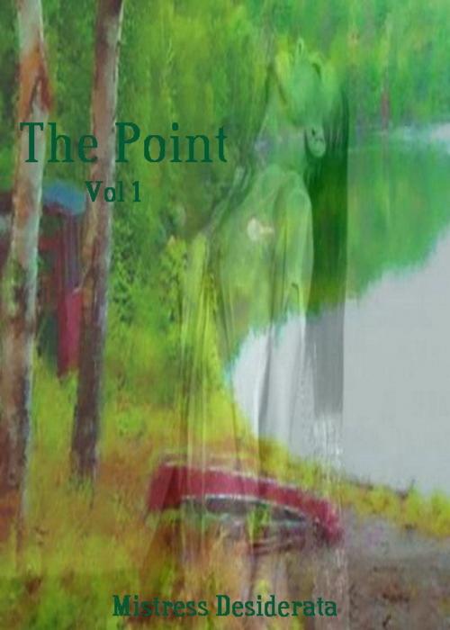 Cover of the book The Point Volume 1 by Mistress Desiderata, Zinck Publishing