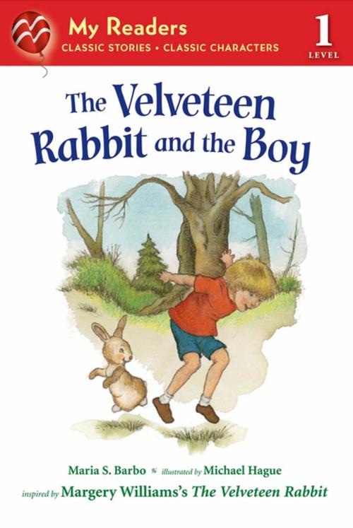 Cover of the book The Velveteen Rabbit and the Boy by Maria S. Barbo, Square Fish