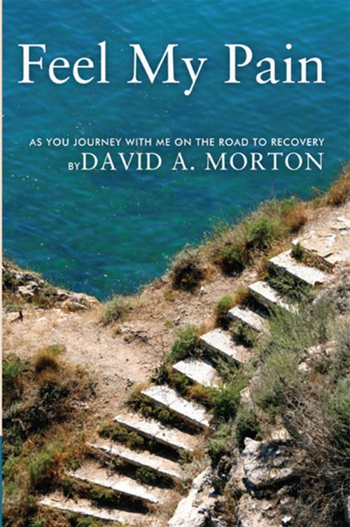 Cover of the book Feel My Pain by David A. Morton, Xlibris US