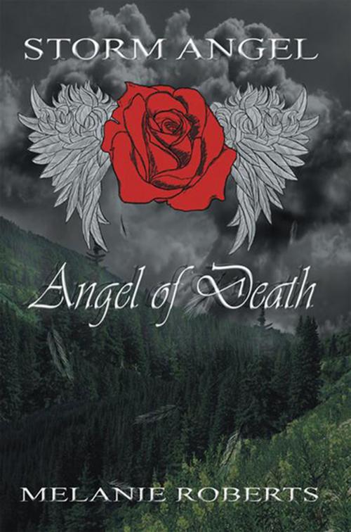 Cover of the book Storm Angel by Melanie Roberts, Xlibris US