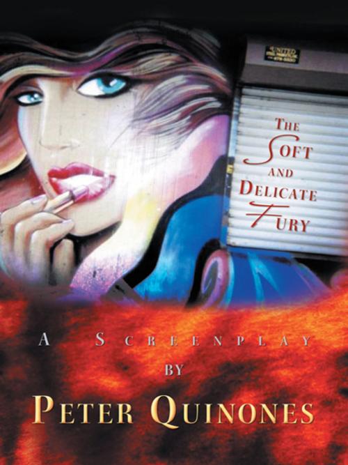 Cover of the book The Soft and Delicate Fury by Peter Quinones, iUniverse