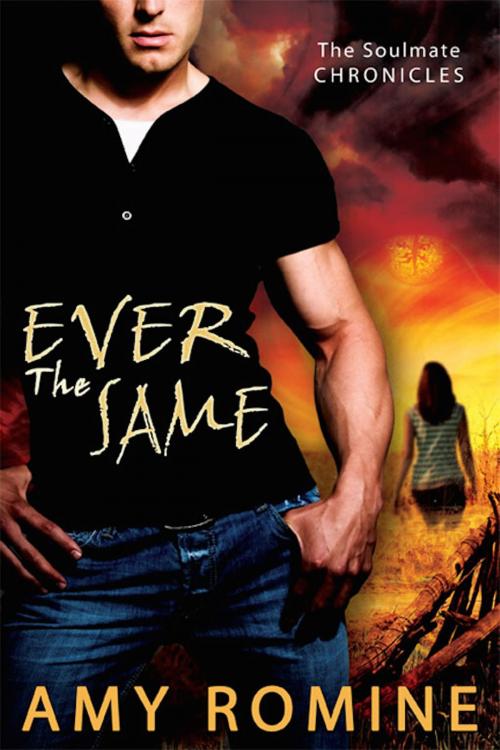 Cover of the book Ever the Same by Amy Romine, eXtasy Books Inc