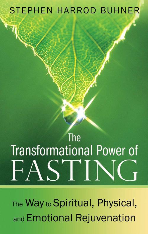 Cover of the book The Transformational Power of Fasting by Stephen Harrod Buhner, Inner Traditions/Bear & Company