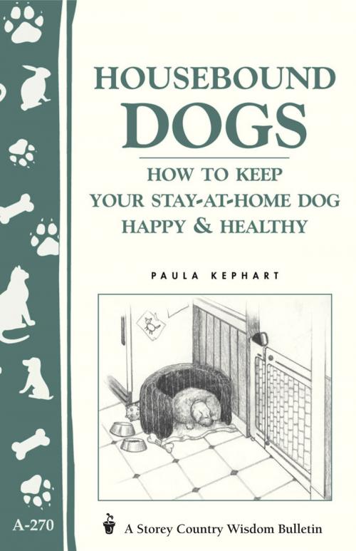 Cover of the book Housebound Dogs: How to Keep Your Stay-at-Home Dog Happy & Healthy by Paula Kephart, Storey Publishing, LLC