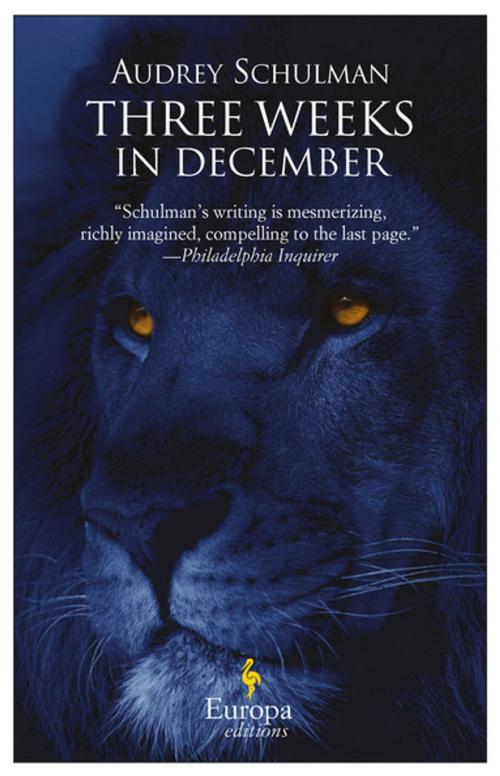 Cover of the book Three Weeks in December by Audrey Schulman, Europa Editions