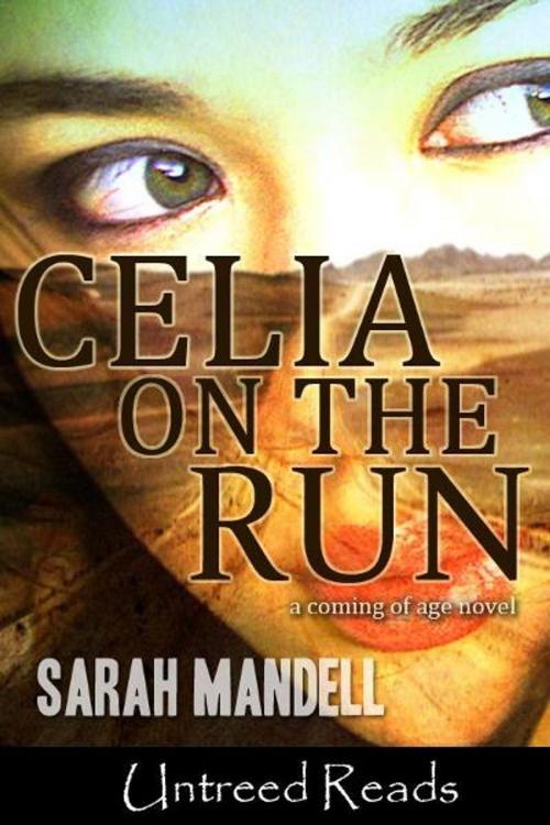 Cover of the book Celia on the Run by Sarah Mandell, Untreed Reads