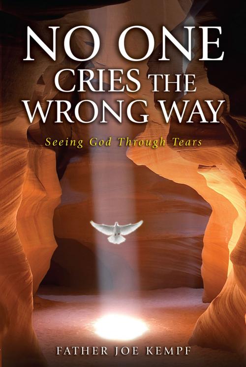 Cover of the book No One Cries the Wrong Way by Joe Kempf, Our Sunday Visitor