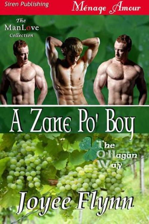 Cover of the book A Zane Po' Boy by Flynn, Joyee, Siren-BookStrand