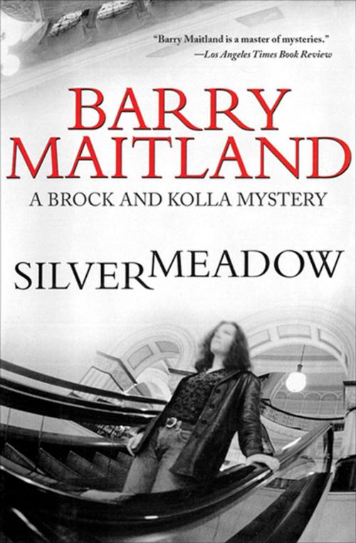 Cover of the book Silvermeadow by Barry Maitland, Skyhorse Publishing