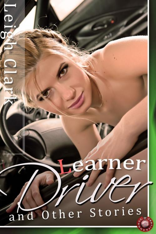 Cover of the book Learner Driver and Other Stories by Leigh Clark, Andrews UK