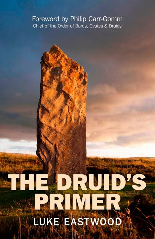 Cover of the book The Druid's Primer by Luke Eastwood, John Hunt Publishing