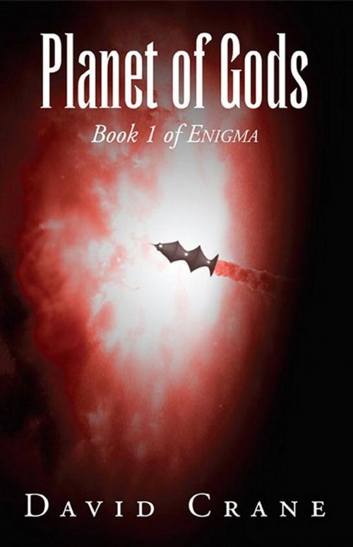 Cover of the book Planet of Gods: Book 1 of Enigma by David Crane, Foremost Press