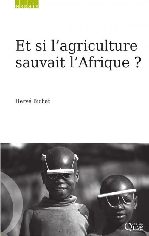 Cover of the book Et si l'agriculture sauvait l'Afrique ? by Hervé Bichat, Quae