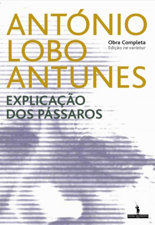 Cover of the book Explicação dos Pássaros by ANTÓNIO LOBO ANTUNES, D. QUIXOTE