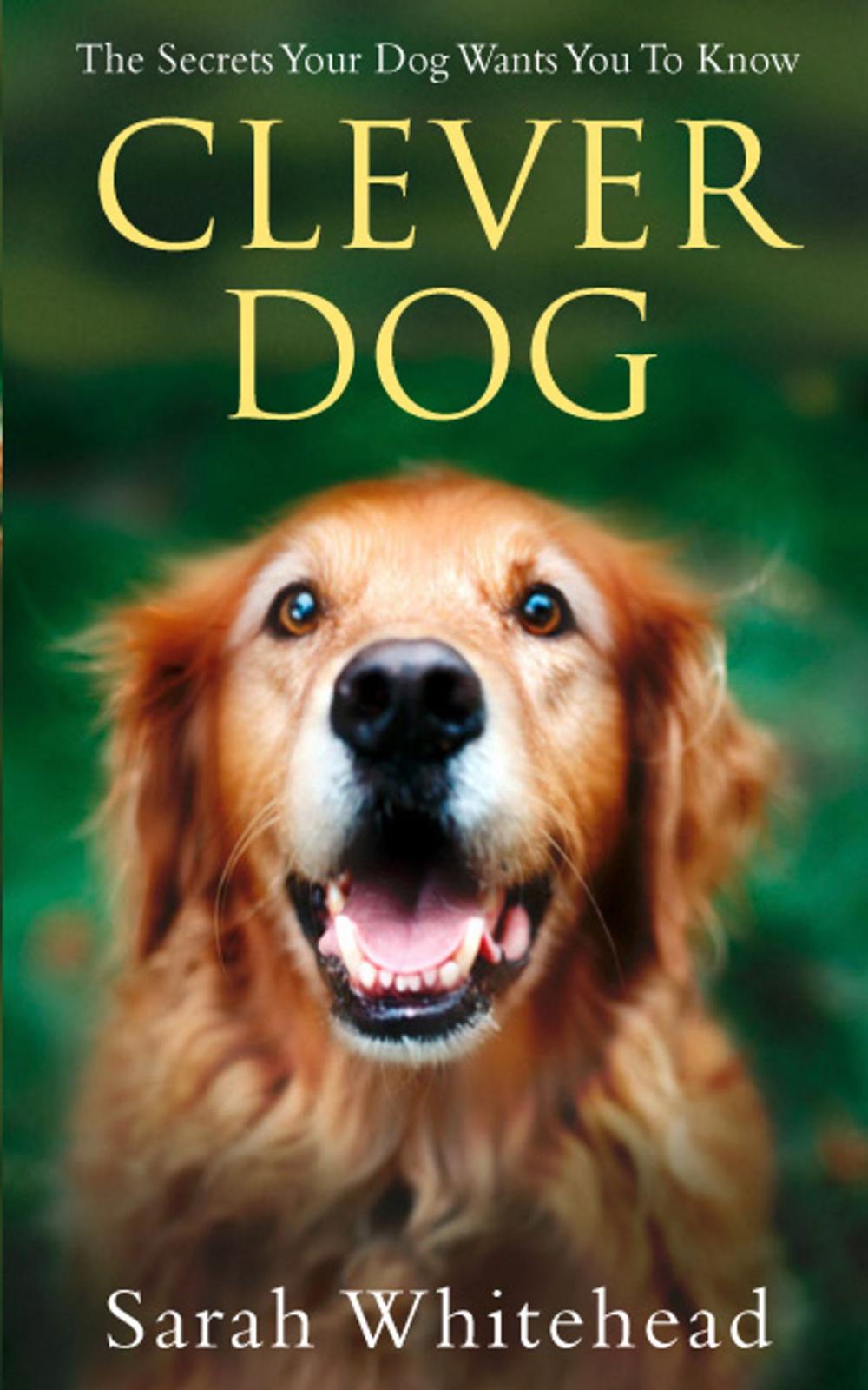 Big bigCover of Clever Dog: Understand What Your Dog is Telling You