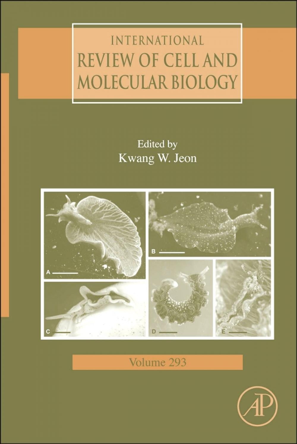 Big bigCover of International Review of Cell and Molecular Biology