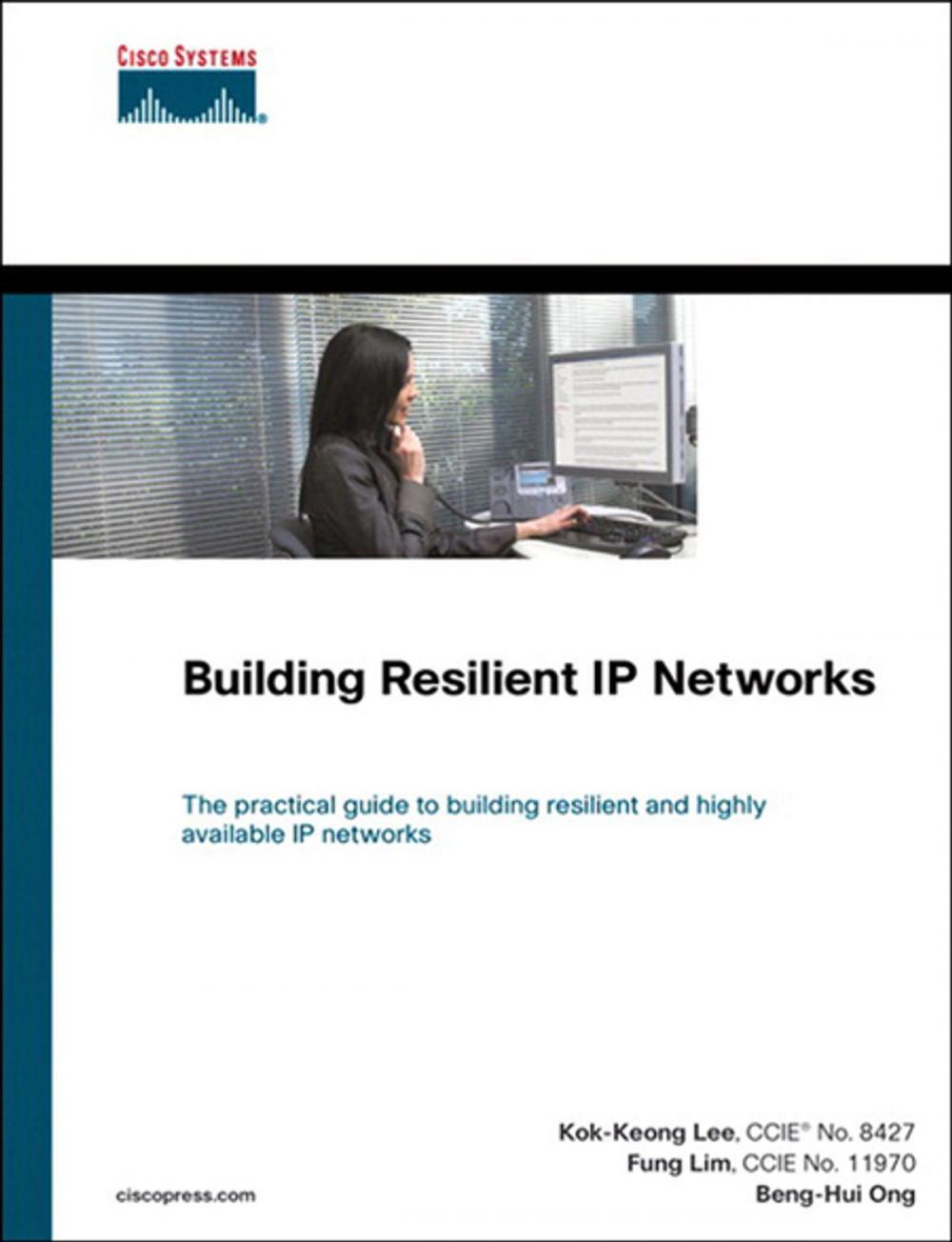 Big bigCover of Building Resilient IP Networks