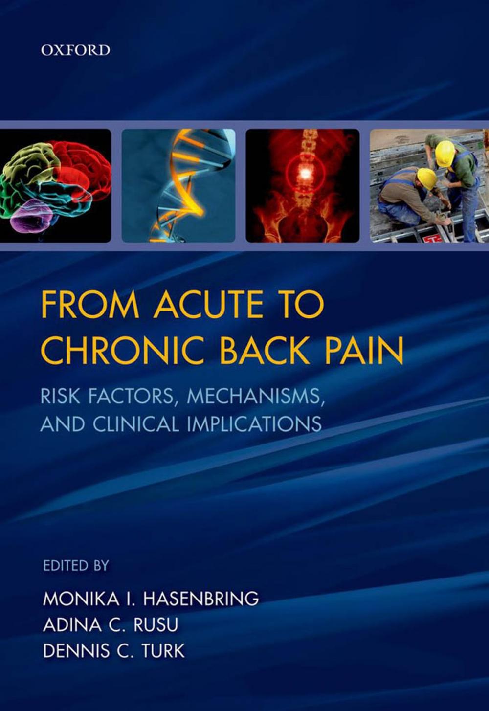 Big bigCover of From Acute to Chronic Back Pain