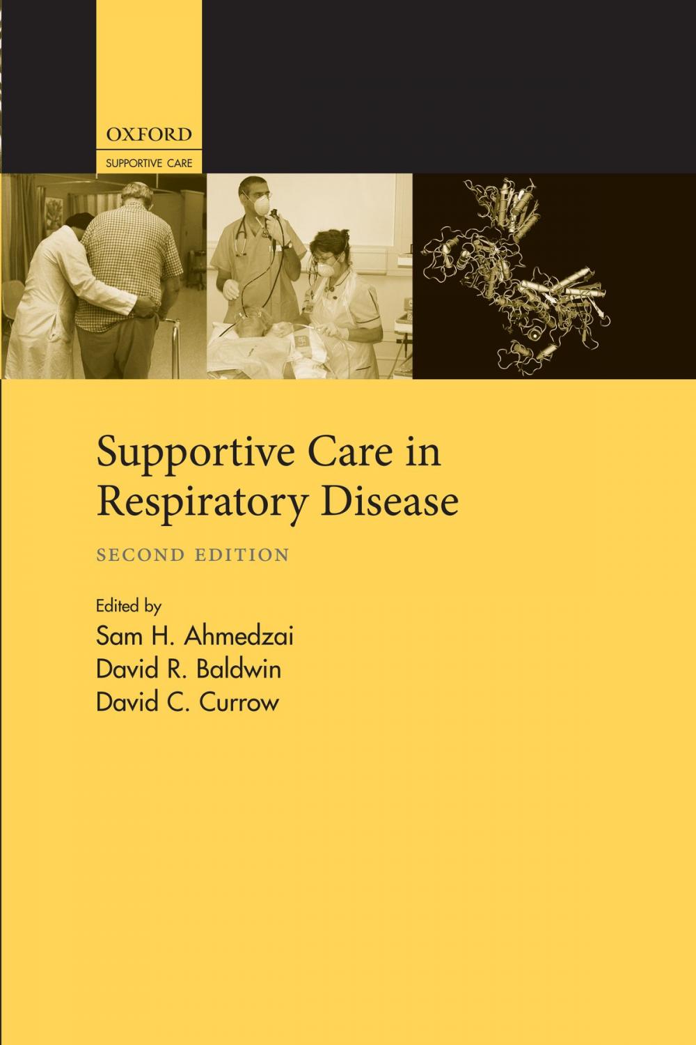 Big bigCover of Supportive Care in Respiratory Disease