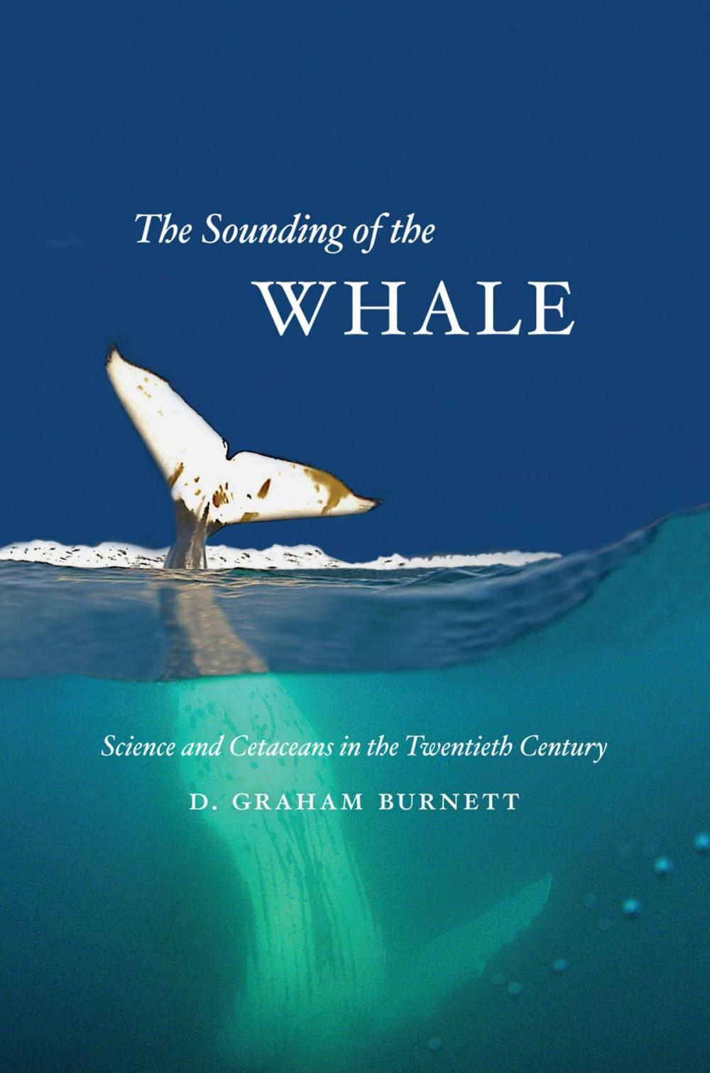 Big bigCover of The Sounding of the Whale