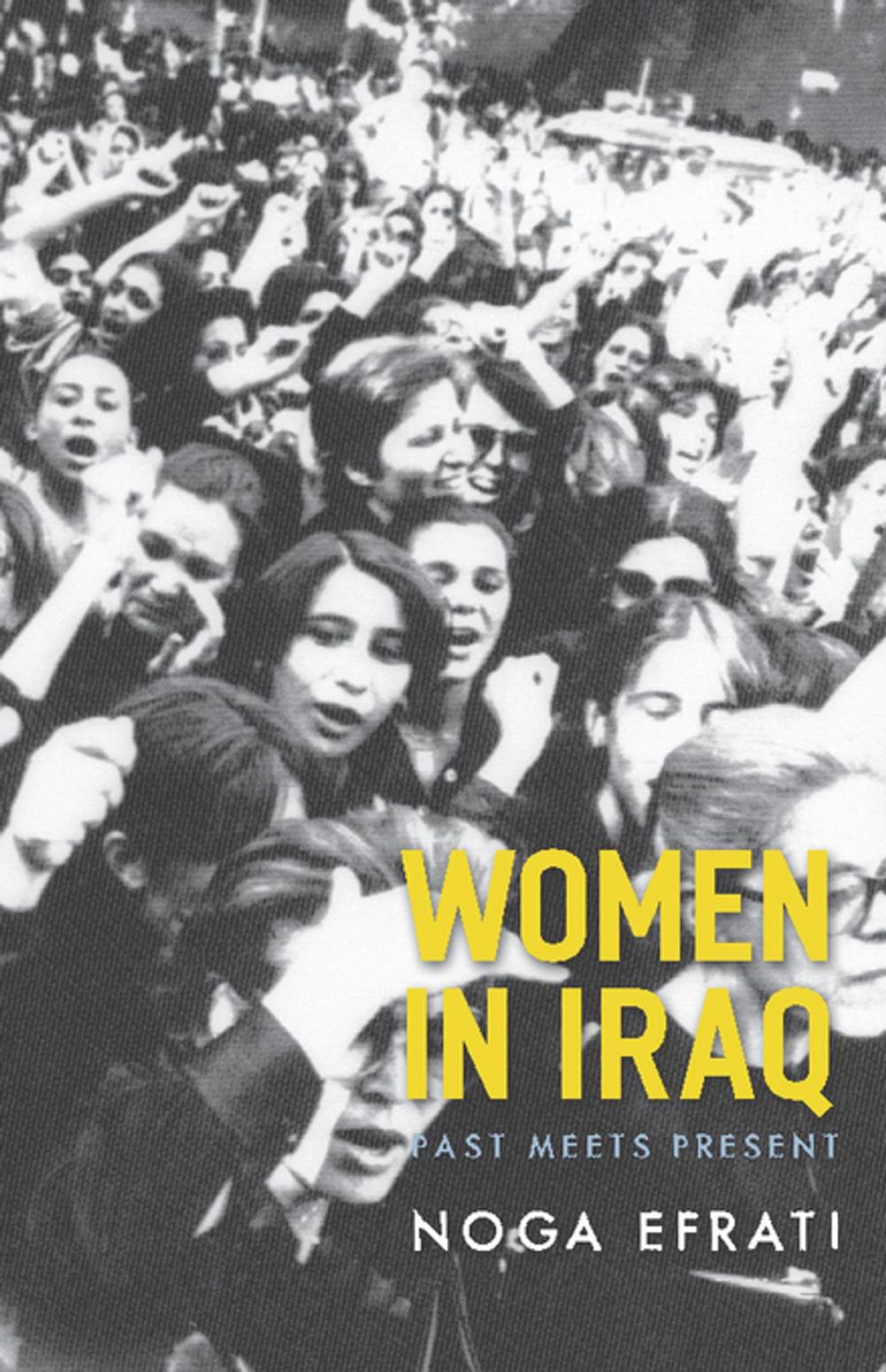 Big bigCover of Women in Iraq