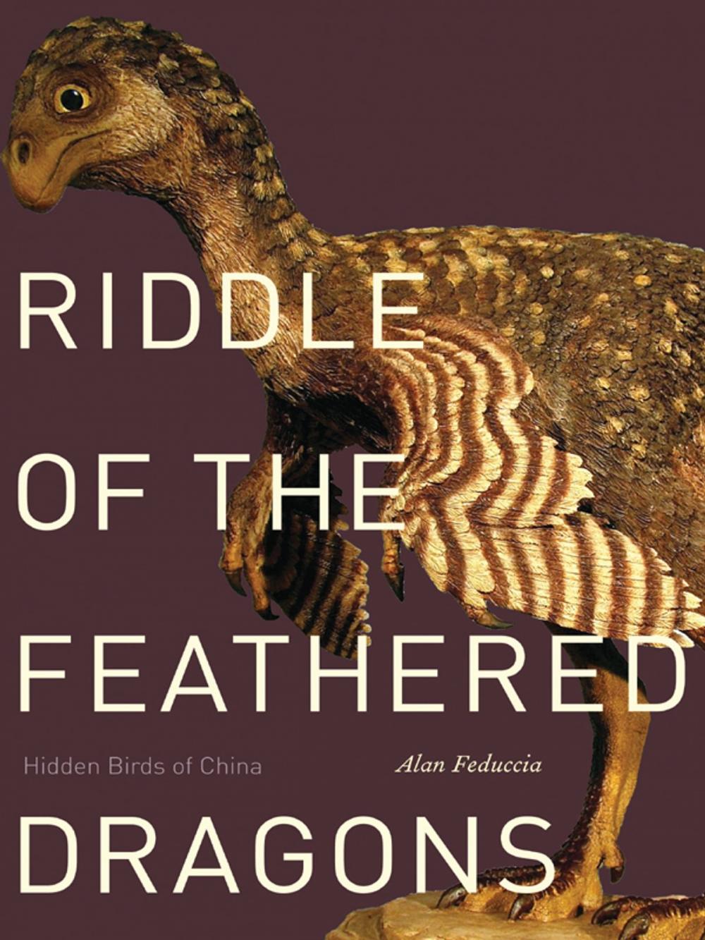 Big bigCover of Riddle of the Feathered Dragons: Hidden Birds of China