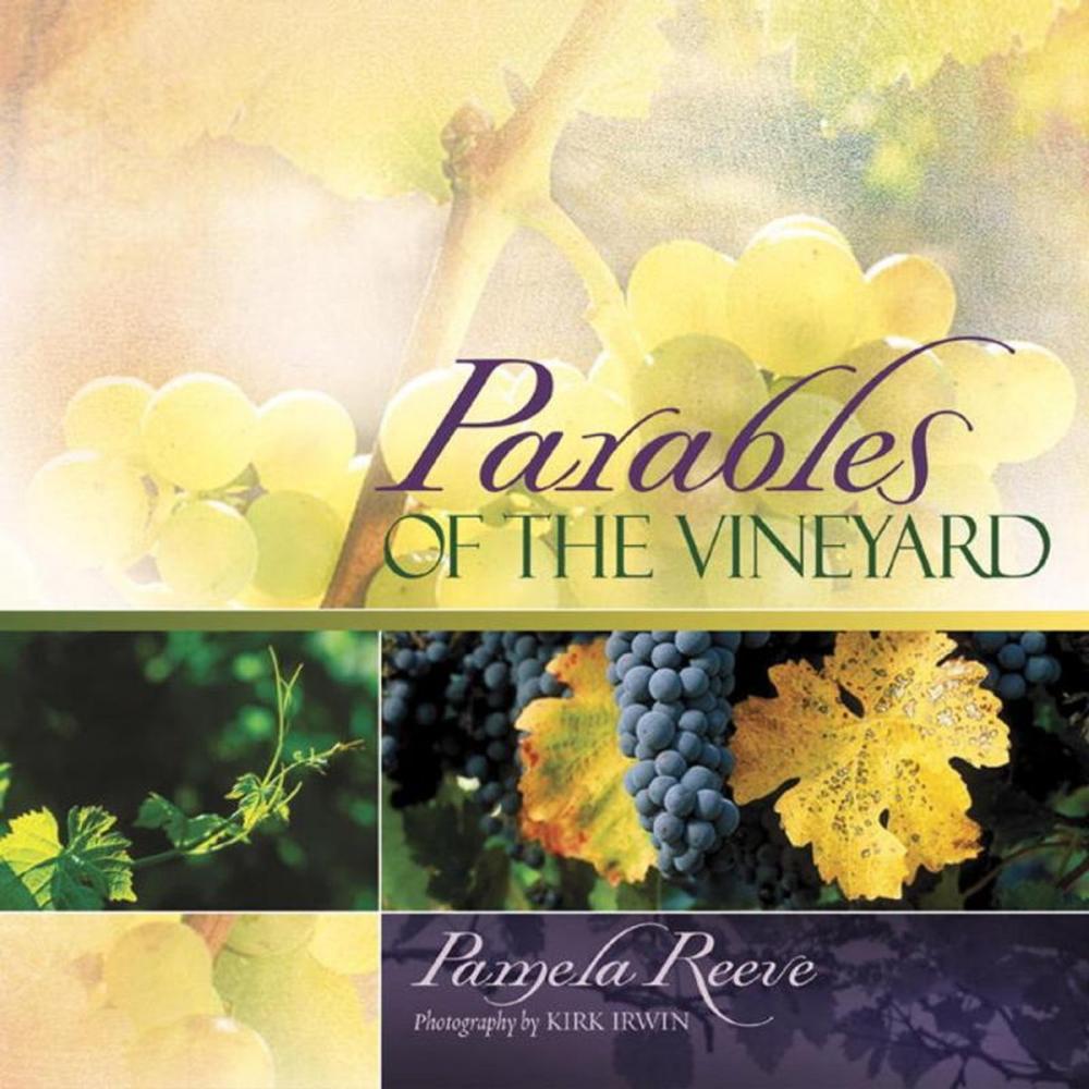 Big bigCover of Parables of the Vineyard