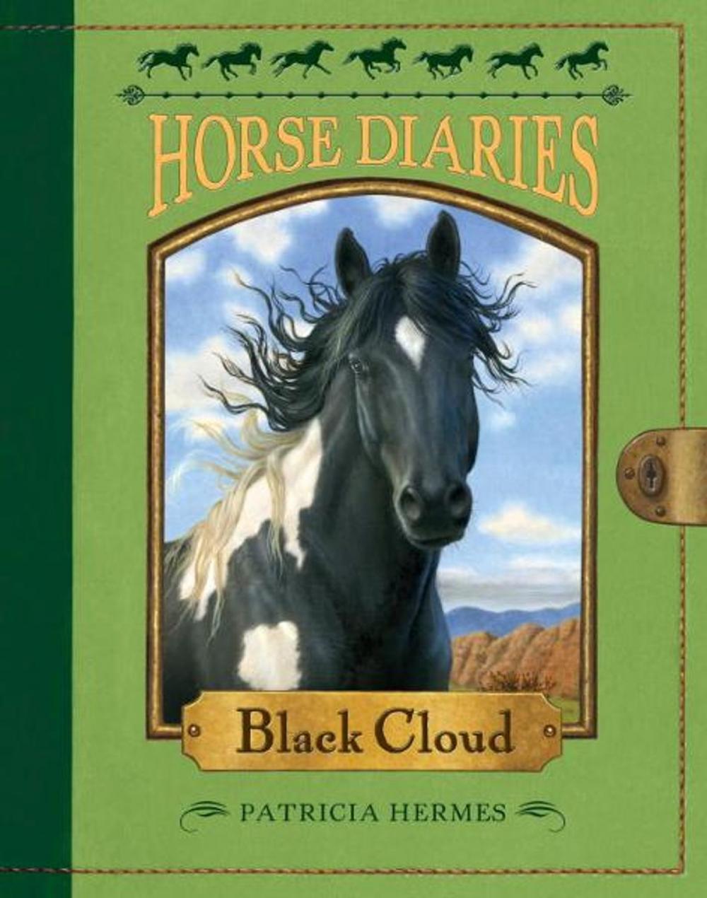 Big bigCover of Horse Diaries #8: Black Cloud