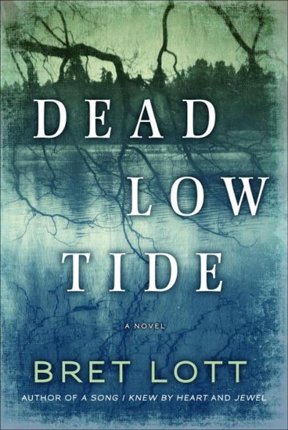 Big bigCover of Dead Low Tide