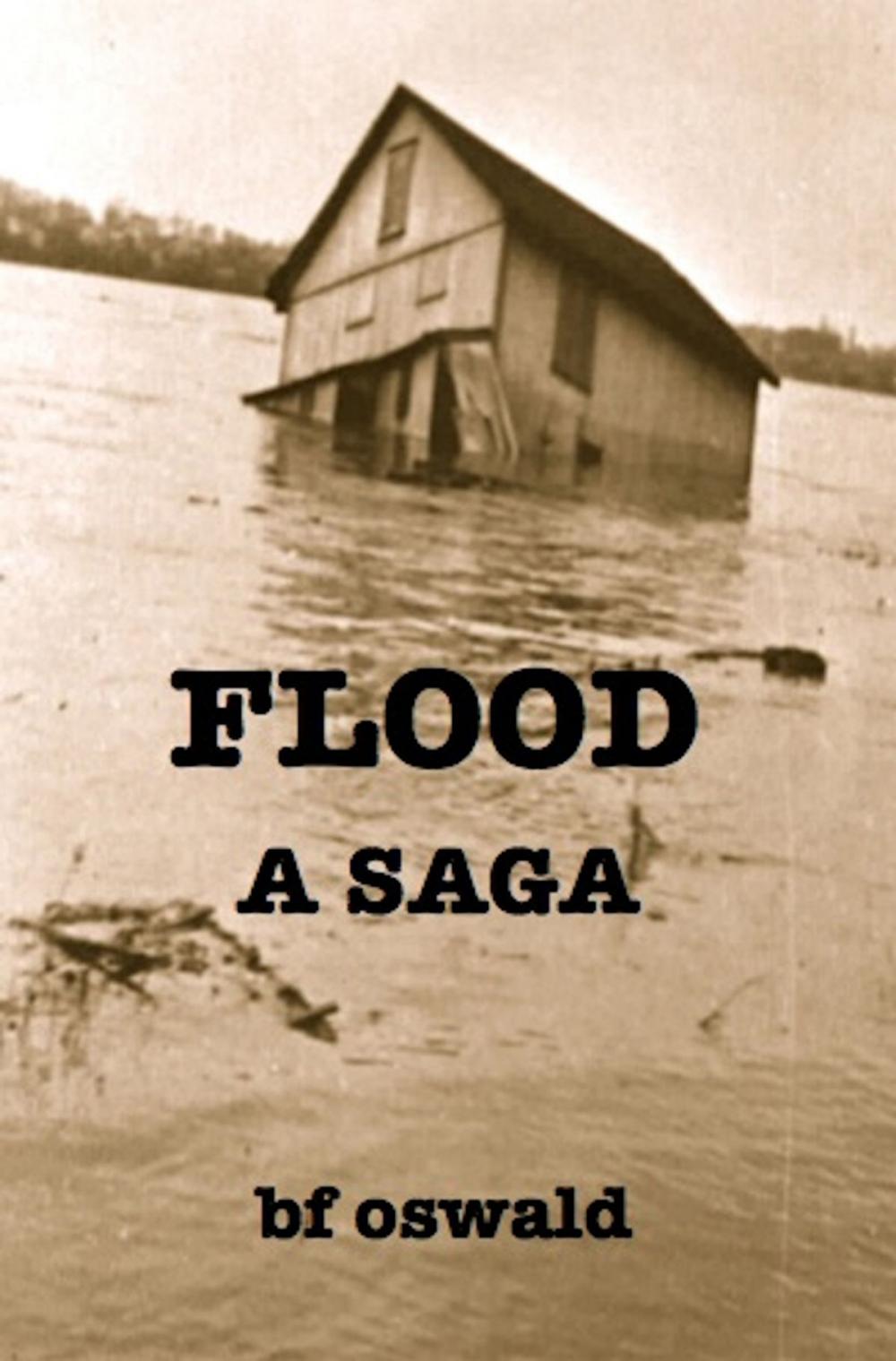 Big bigCover of Flood: A Saga