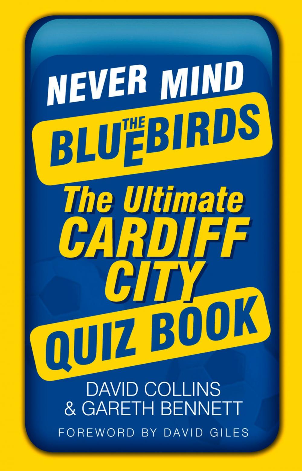 Big bigCover of Never Mind the Bluebirds