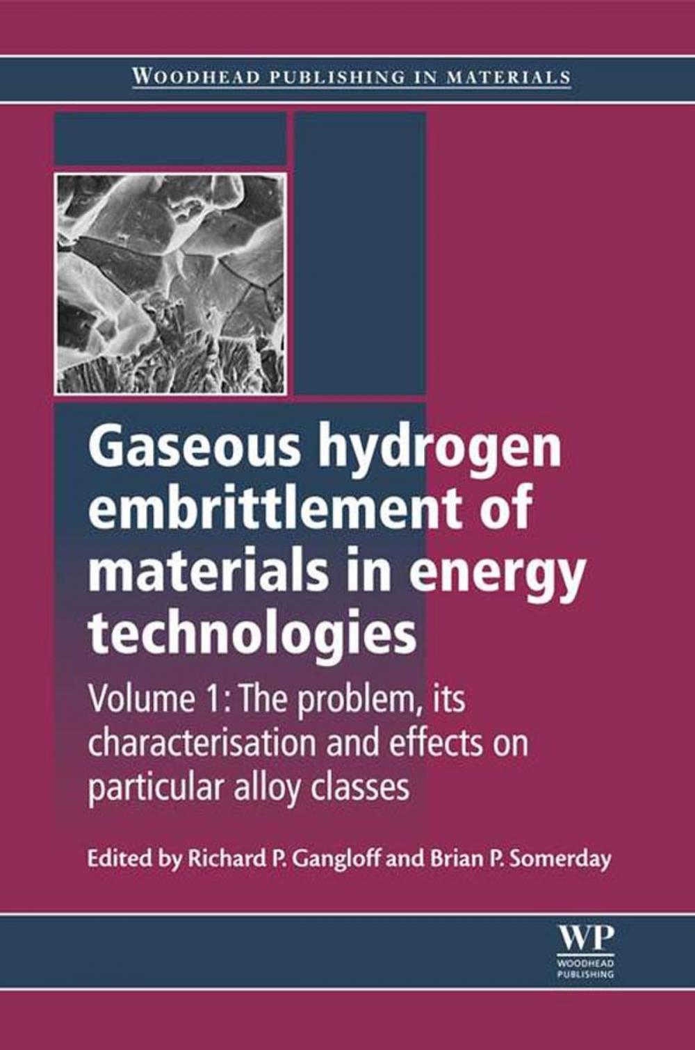 Big bigCover of Gaseous Hydrogen Embrittlement of Materials in Energy Technologies