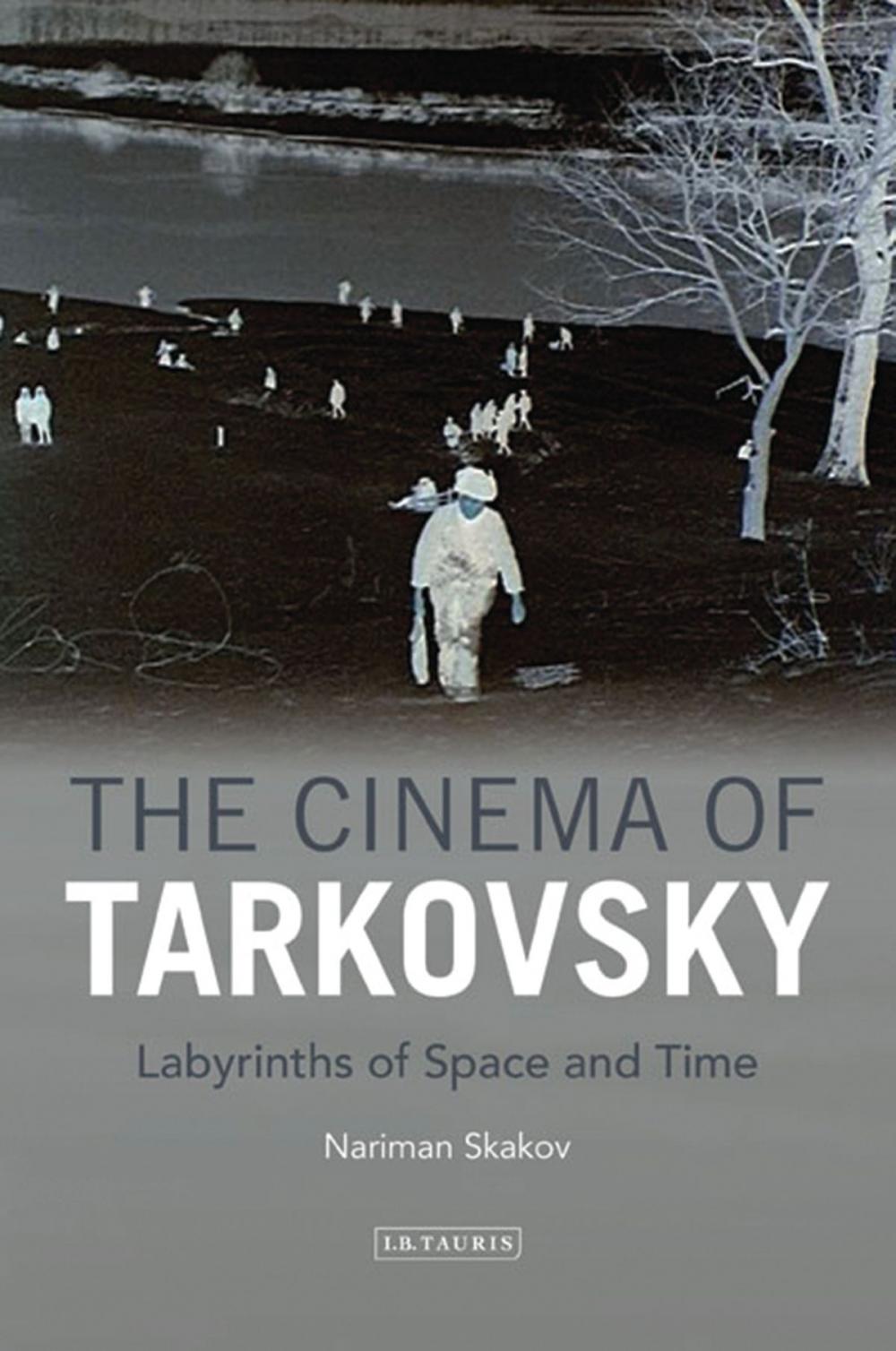 Big bigCover of The Cinema of Tarkovsky