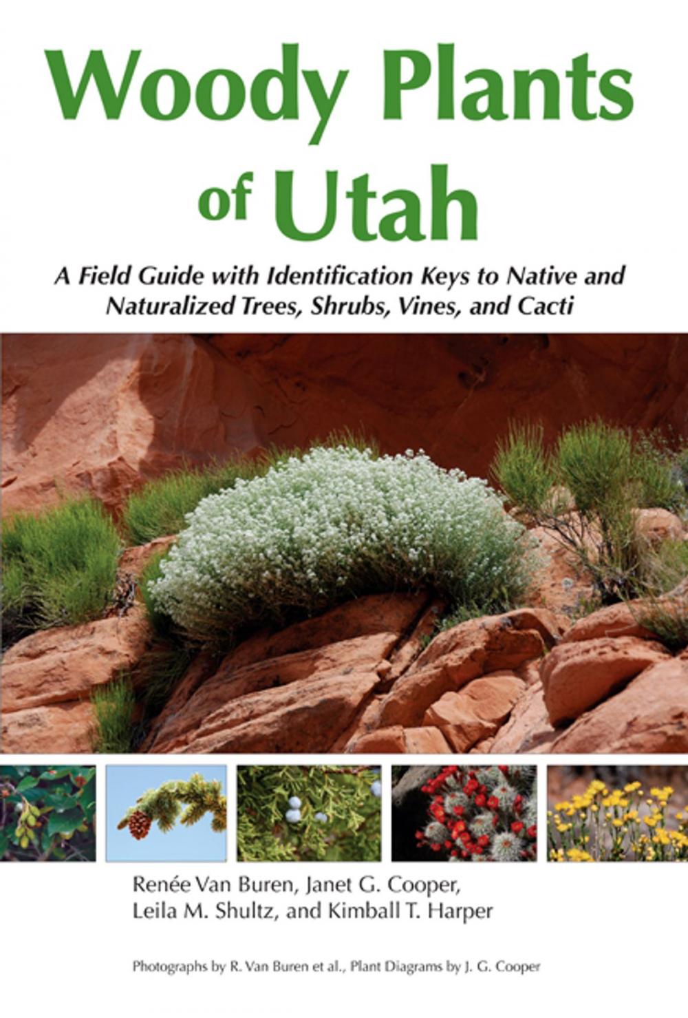 Big bigCover of Woody Plants of Utah