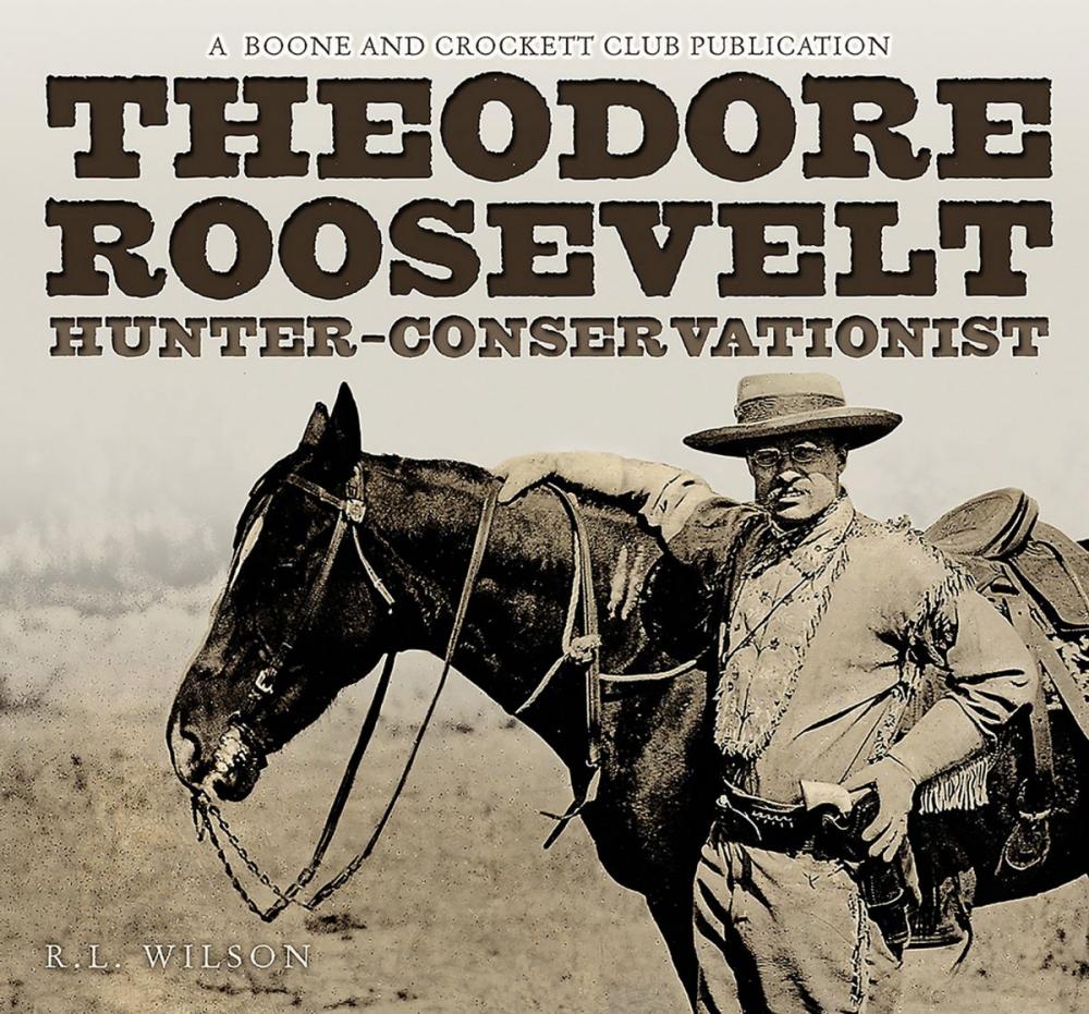 Big bigCover of Theodore Roosevelt