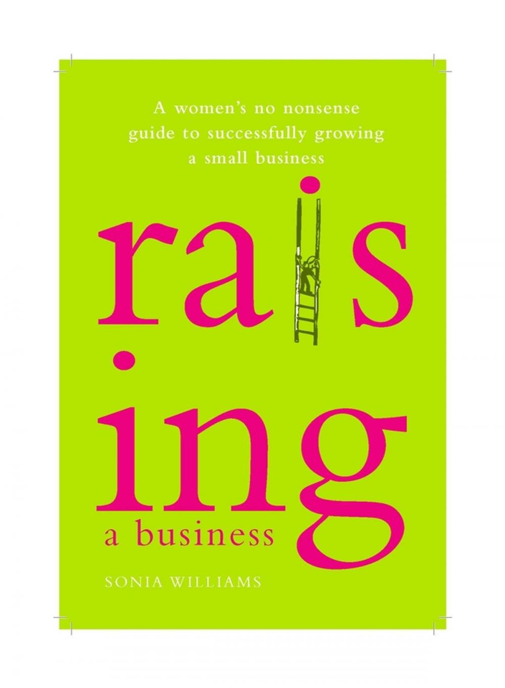 Big bigCover of Raising a Business