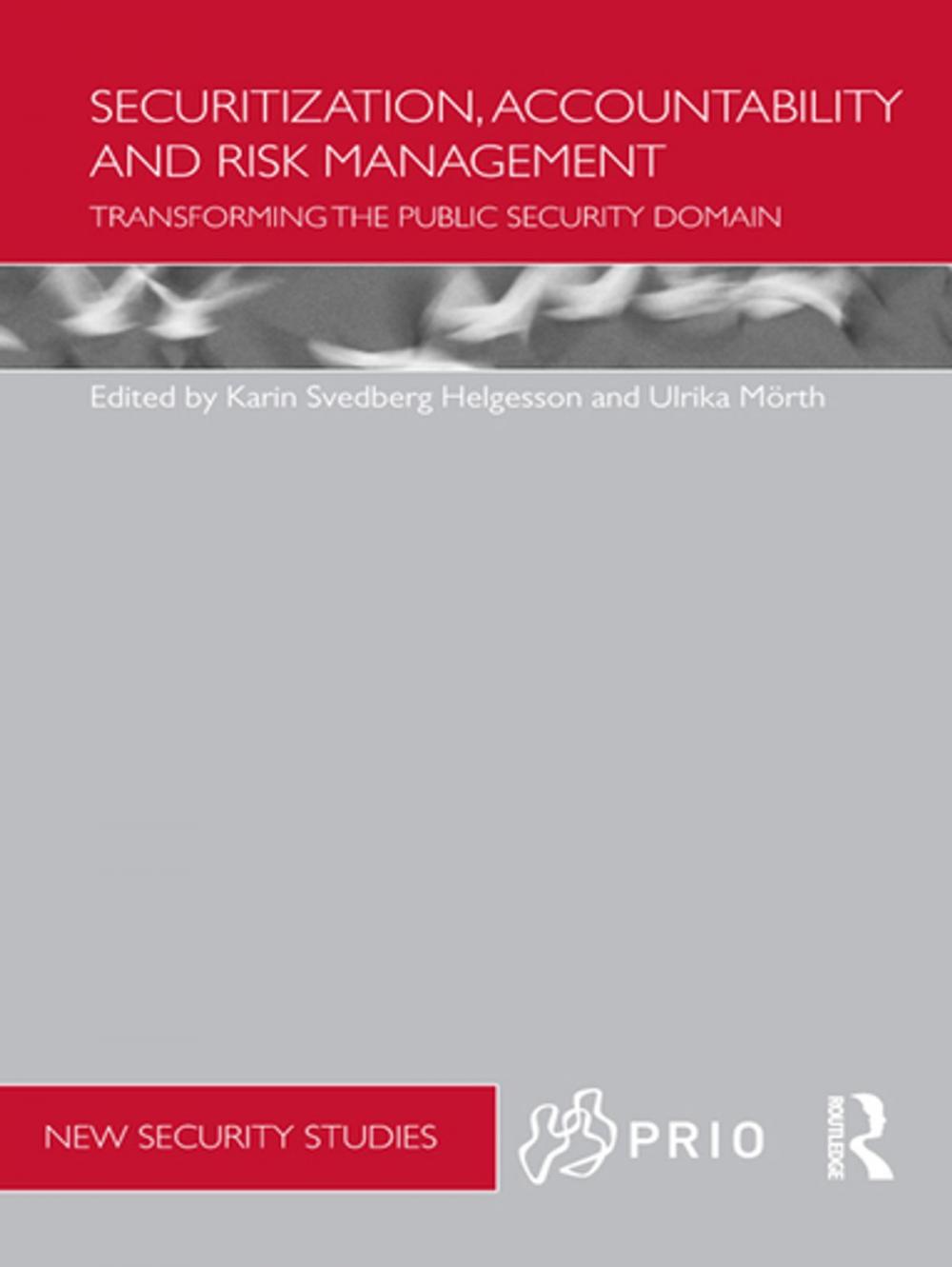 Big bigCover of Securitization, Accountability and Risk Management