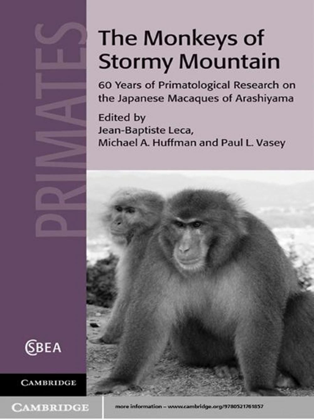 Big bigCover of The Monkeys of Stormy Mountain