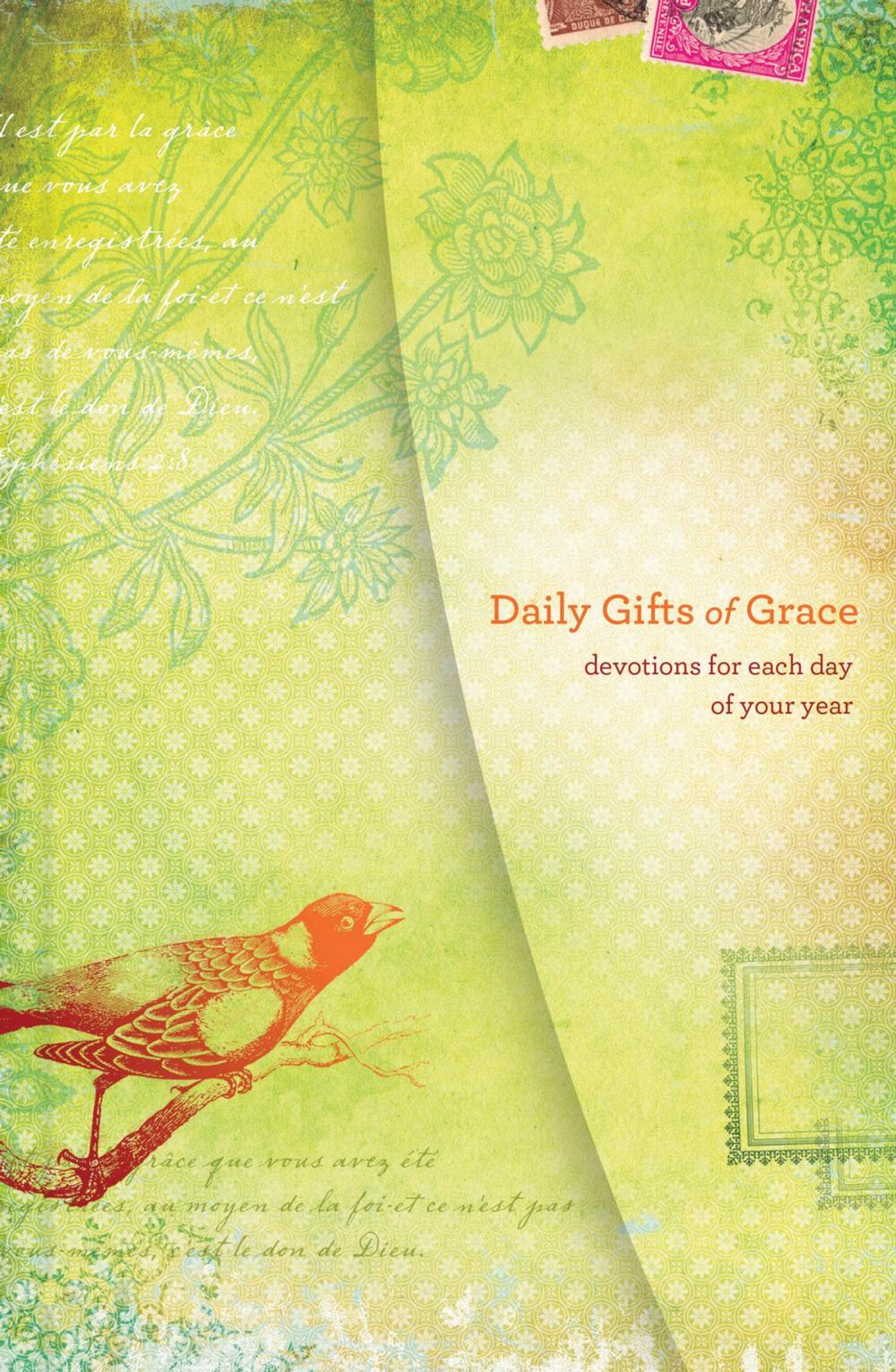 Big bigCover of Daily Gifts of Grace