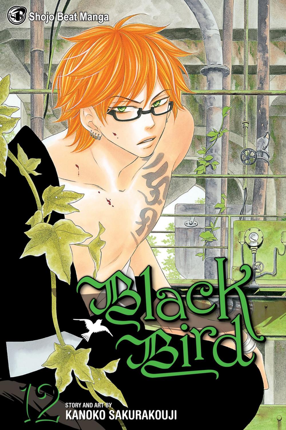 Big bigCover of Black Bird, Vol. 12