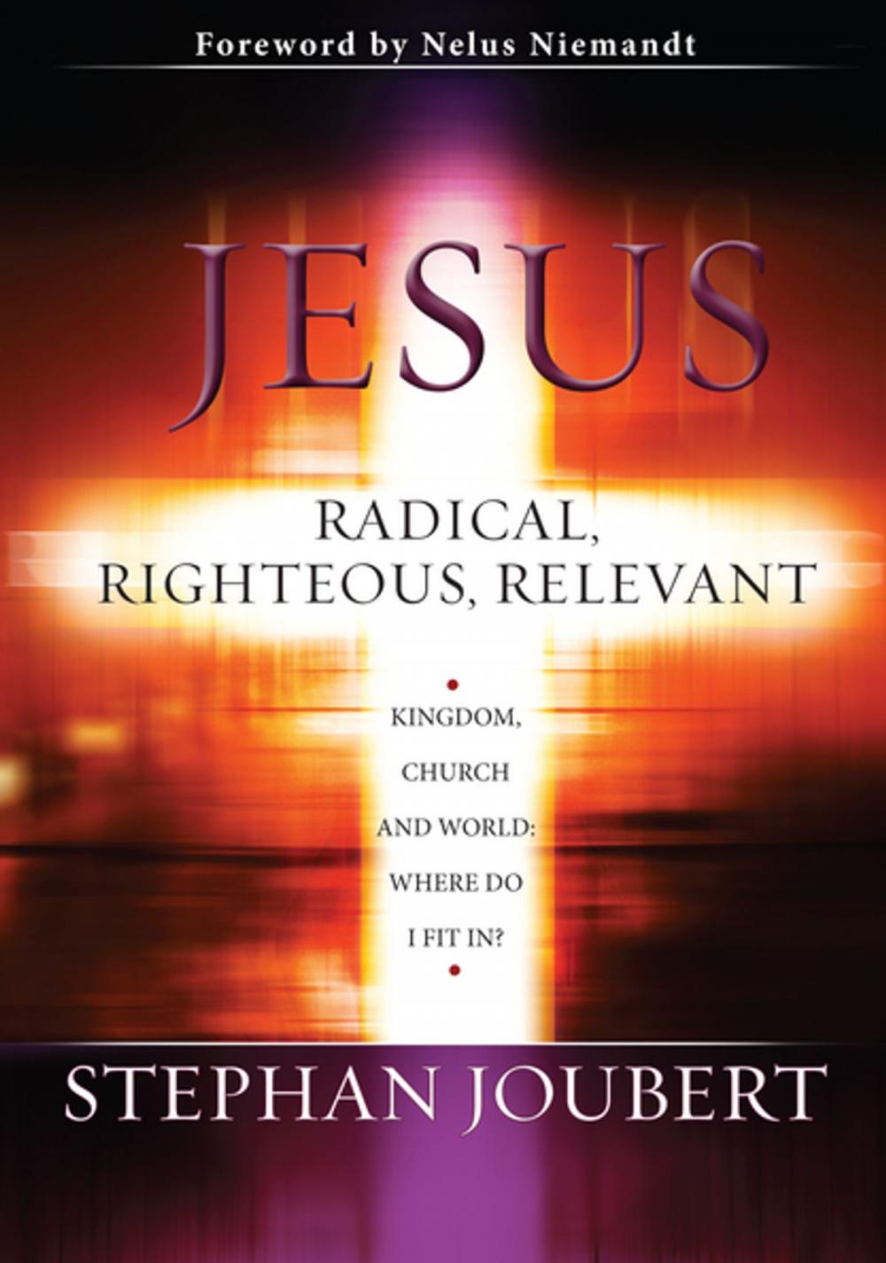 Big bigCover of Jesus Radical, Righteous, Relevant (eBook)