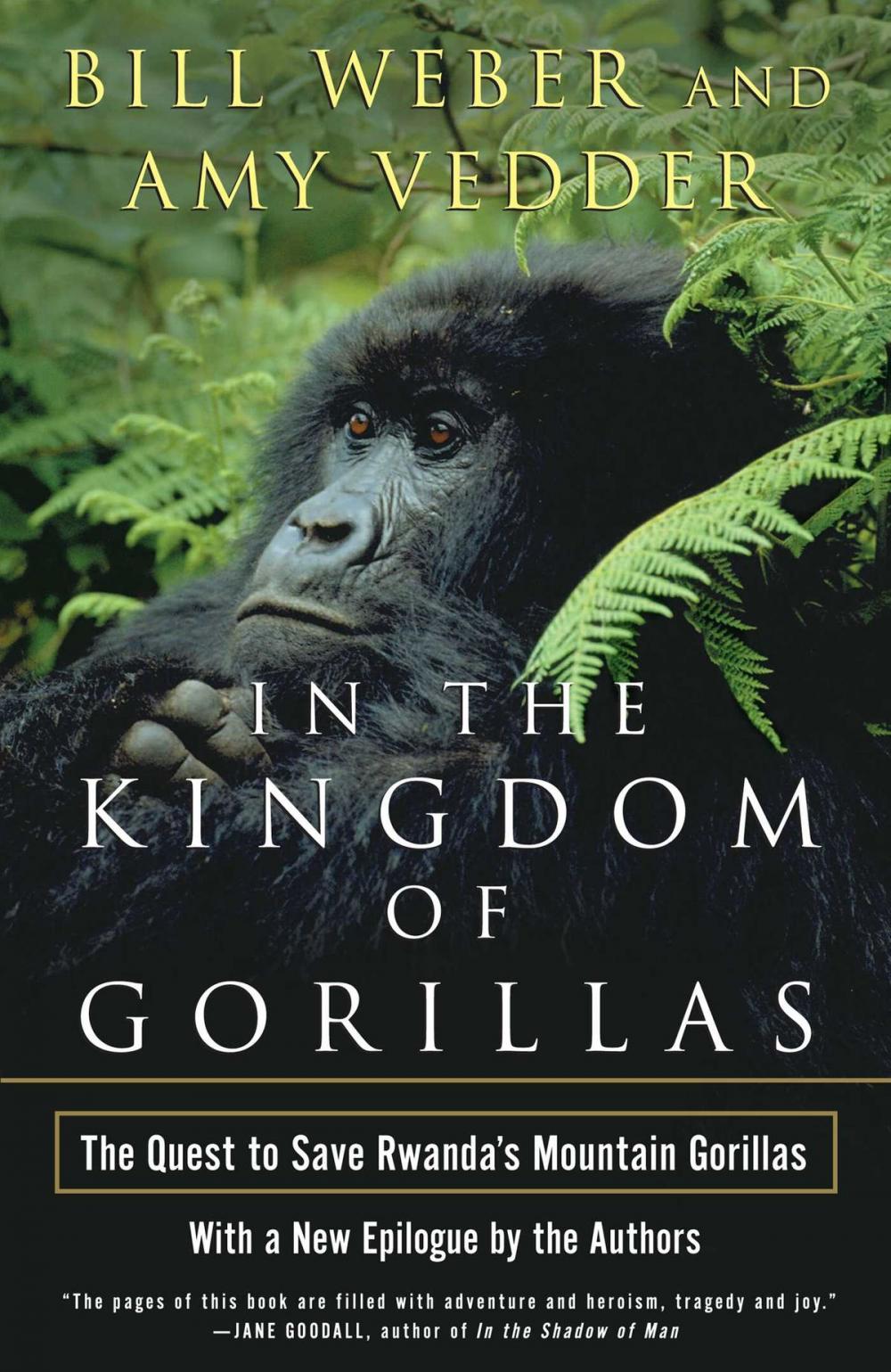 Big bigCover of In the Kingdom of Gorillas