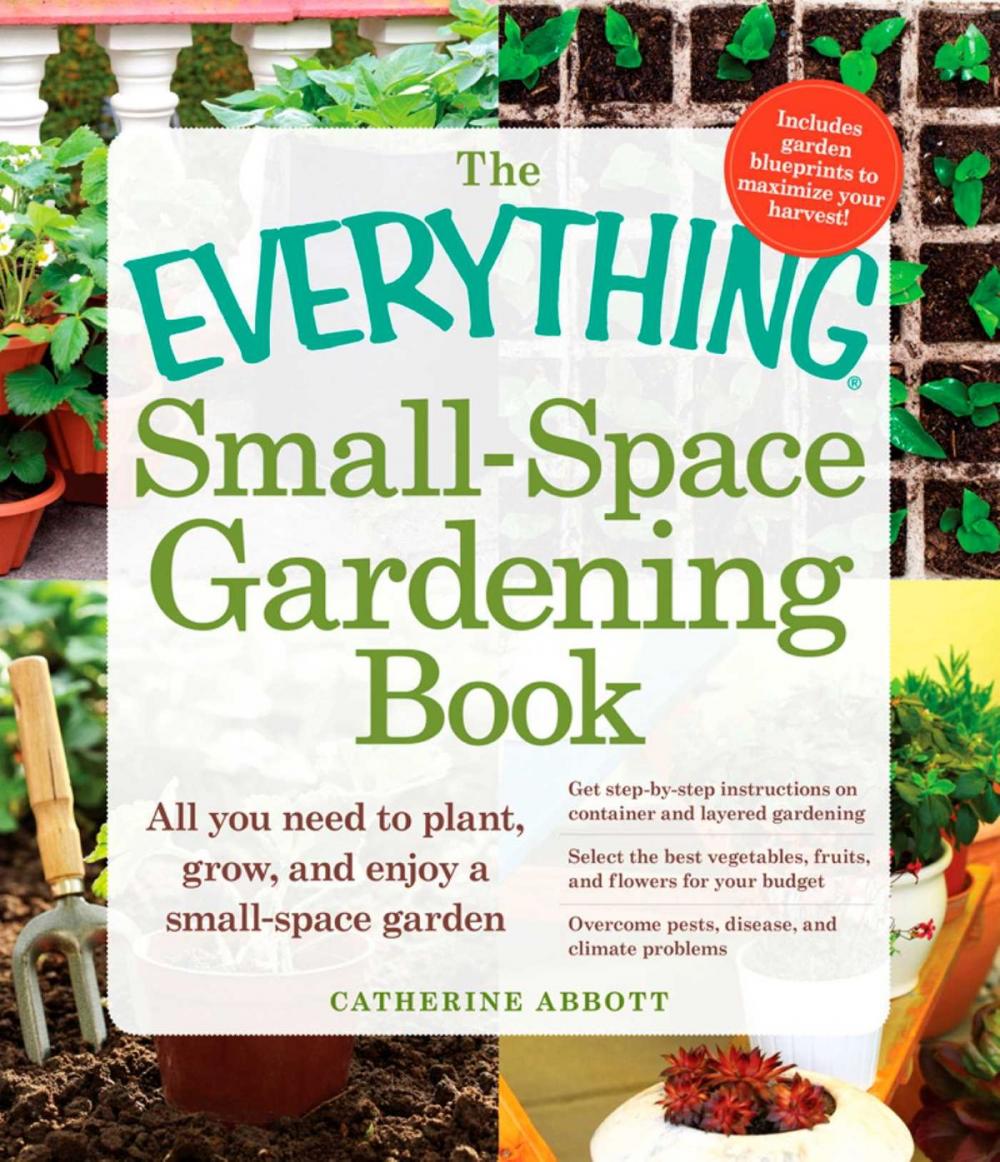 Big bigCover of The Everything Small-Space Gardening Book