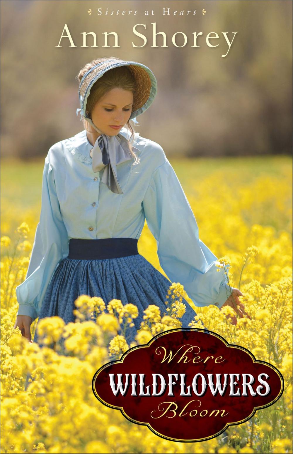 Big bigCover of Where Wildflowers Bloom (Sisters at Heart Book #1)