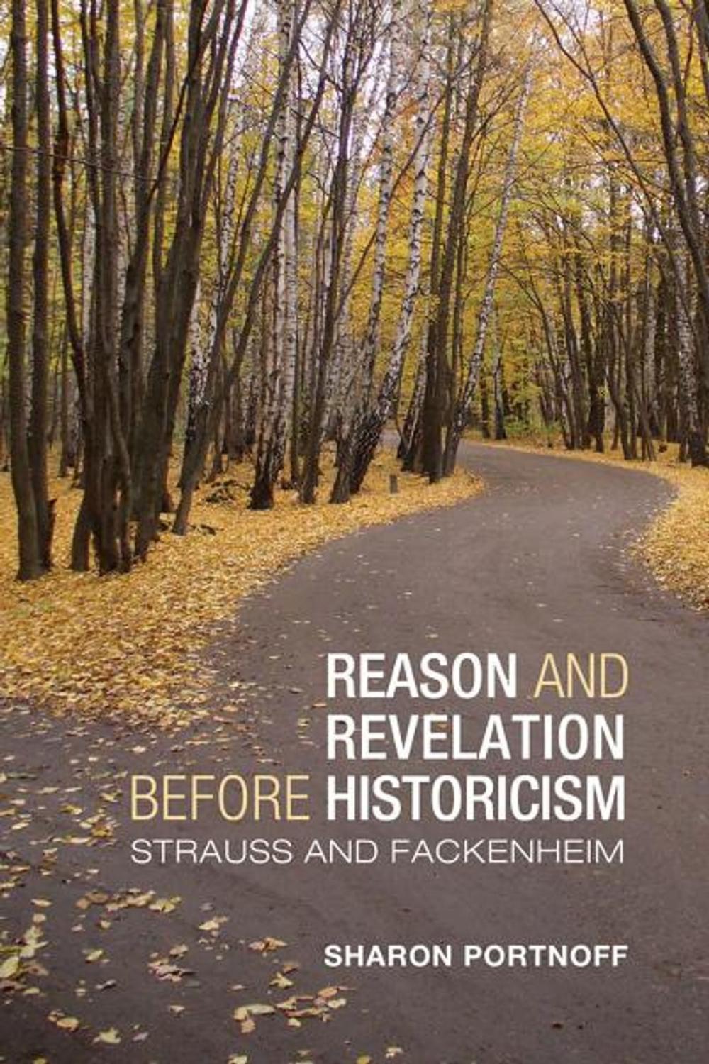 Big bigCover of Reason and Revelation before Historicism