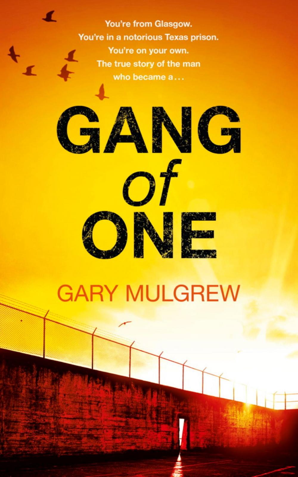 Big bigCover of Gang of One: One Man's Incredible Battle to Find his Missing Daughter