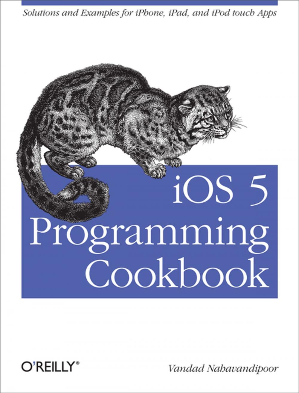 Big bigCover of iOS 5 Programming Cookbook