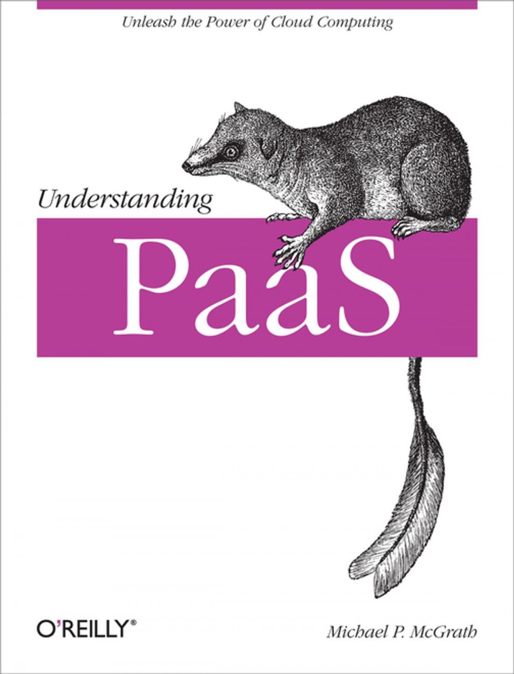 Big bigCover of Understanding PaaS