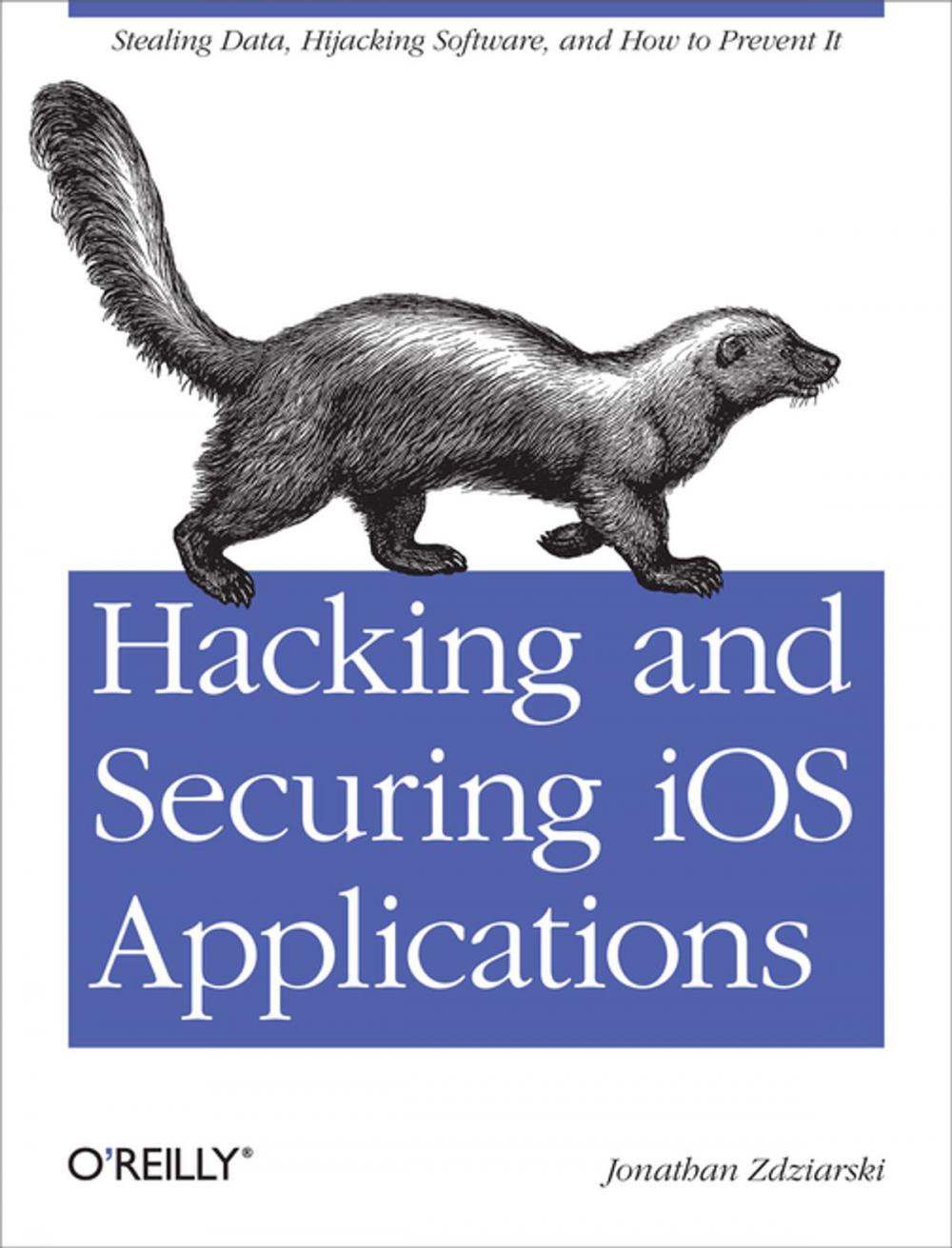 Big bigCover of Hacking and Securing iOS Applications